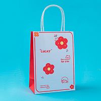 Пакет подарочный Yokee Lucky 20,5*15см